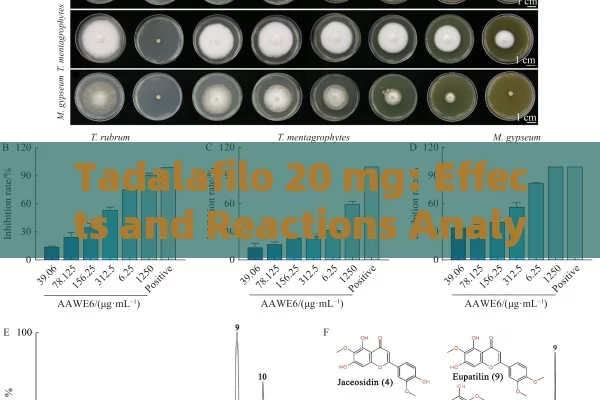 Tadalafilo 20 mg: Effects and Reactions Analyzed